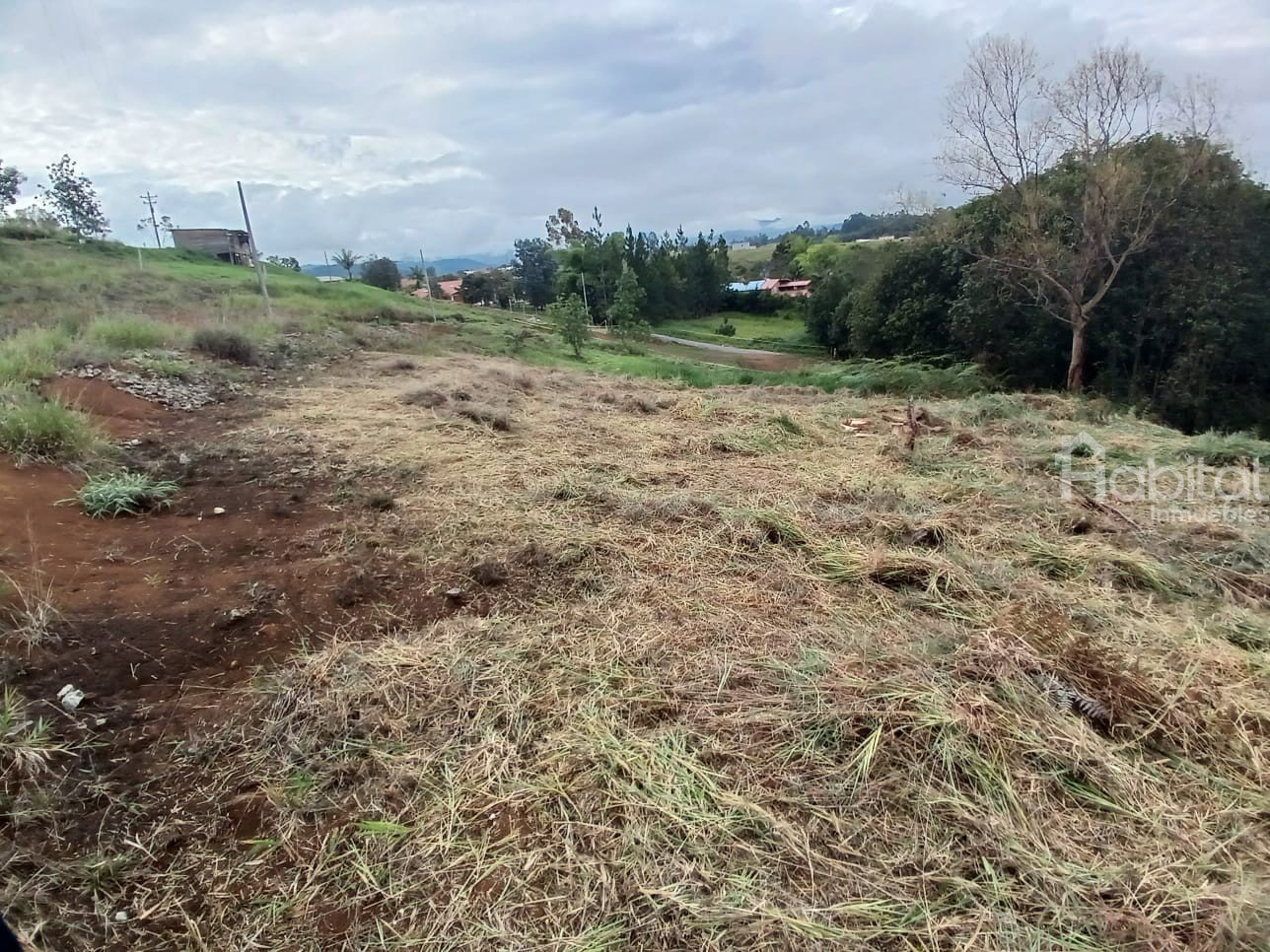 LOTE EN EL TABLON ; RIO BLANCO