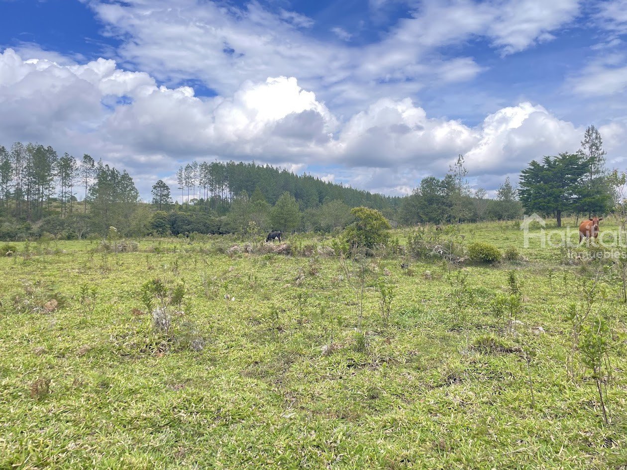 LOTES VIA AL LAGO DEL BOLSON