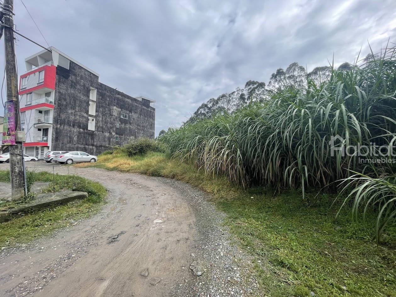 SE VENDEN  DOS LOTES CONTIGUOS EN CAMPO BELLO
