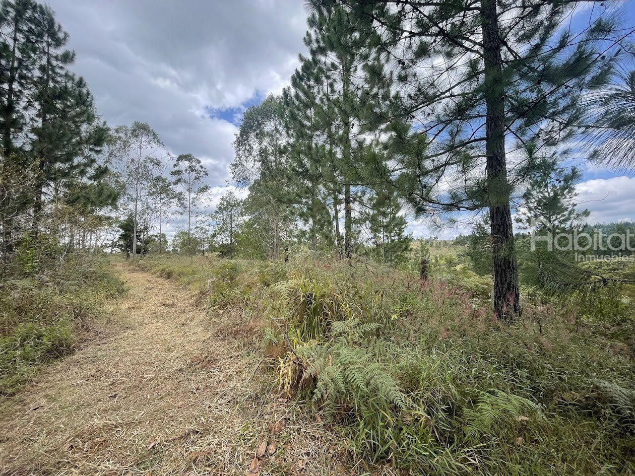 LOTE CERCA A LA PARCELACIÓN LA SUIZA