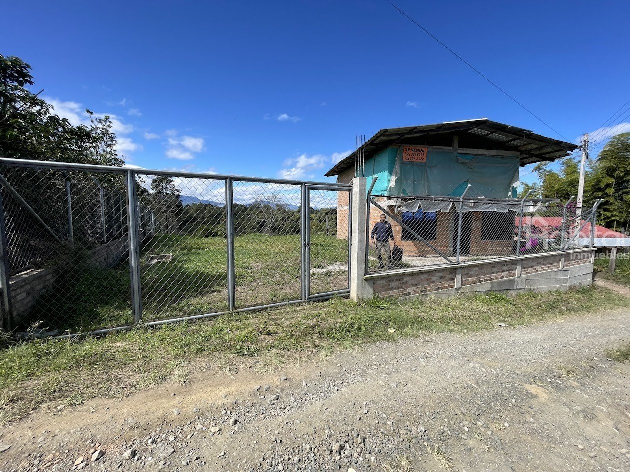 TIMBIO – SAN PEDRITO