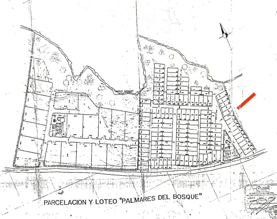 LOTEPALMARES DEL BOSQUE